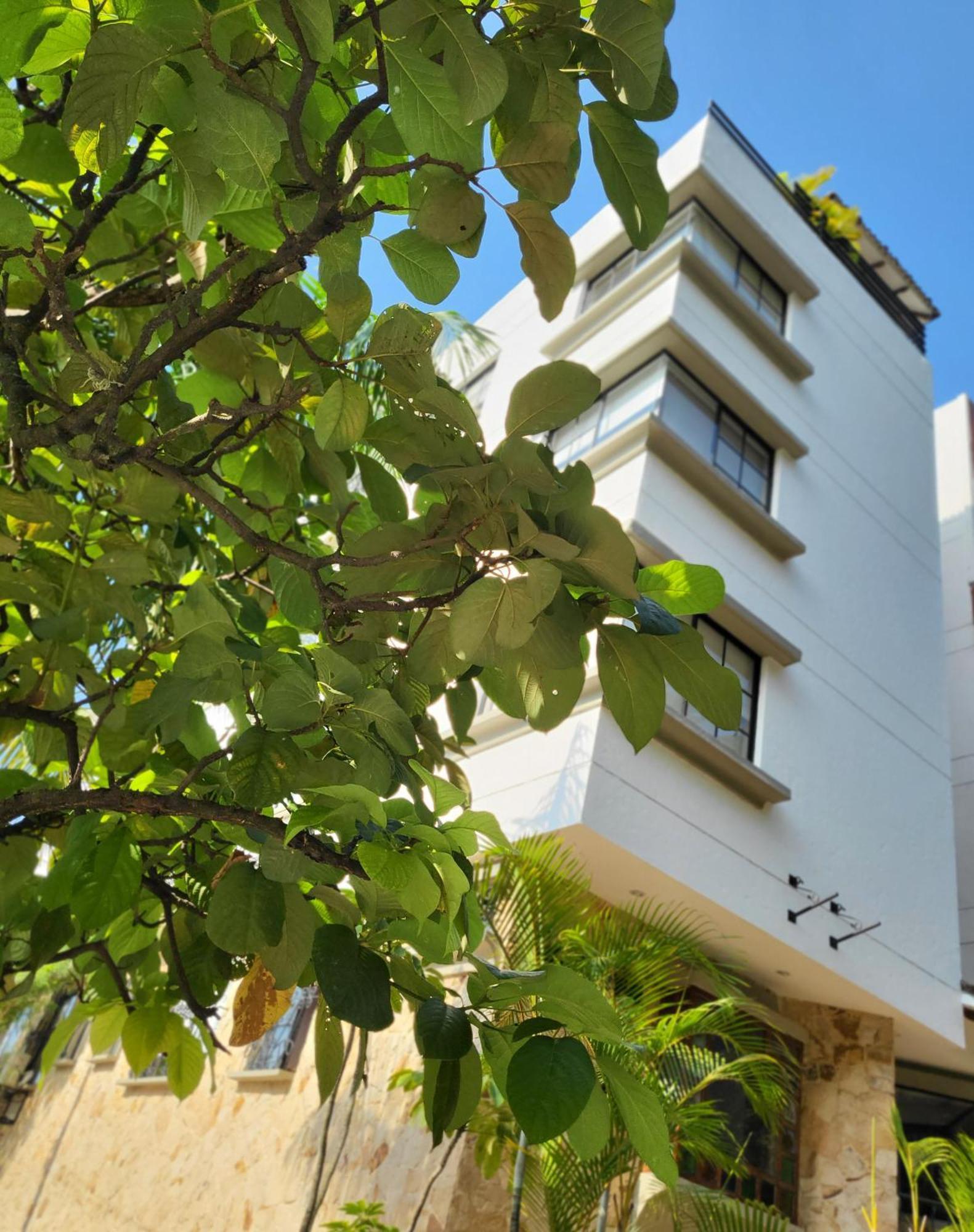 Aparthotel Castellón de Juanambú Cali Exterior foto